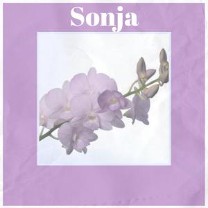 Album Sonja from Various
