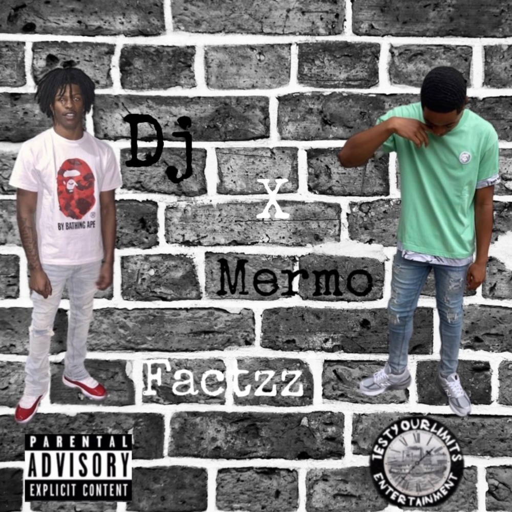 Factzz (feat. LilDeka) (Explicit)