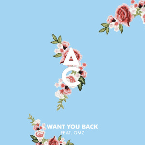 Dengarkan Want You Back lagu dari Antoine Chambe dengan lirik