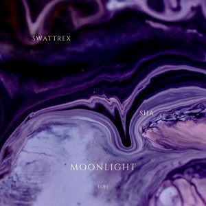 Album Moonlight LOFI oleh Swattrex
