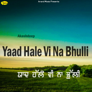 Listen to Putt Ladla song with lyrics from Akashdeep