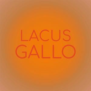 Lacus Gallo dari Various