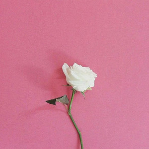 收听Foreign Forest的Undo (Explicit)歌词歌曲