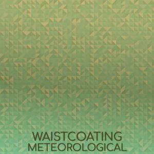 Waistcoating Meteorological dari Various