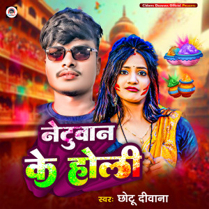 收听Chhotu Deewana的Natuan Ke Holi歌词歌曲