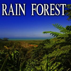 收聽Nature Soundscape的Rain Forest Environment at Dusk歌詞歌曲