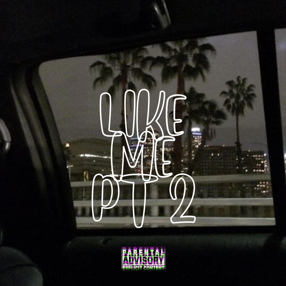 LIKE ME Pt. 2 (feat. ItsDboy) (Explicit)