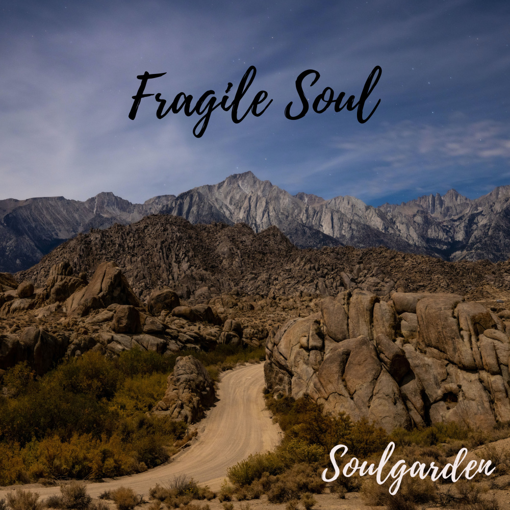 Fragile Soul