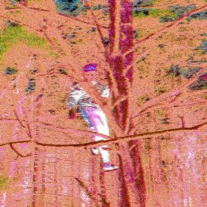 Jeremy Fisher的專輯Proj16_6-04 New Sample CHOP!!DEMO.wav (Explicit)