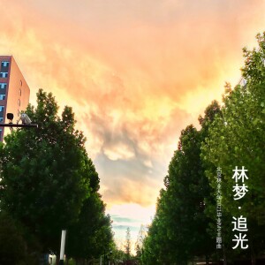 Album 林梦·追光 from 彭铖