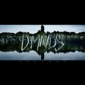 ดาวน์โหลดและฟังเพลง Magie noire พร้อมเนื้อเพลงจาก DMNDS