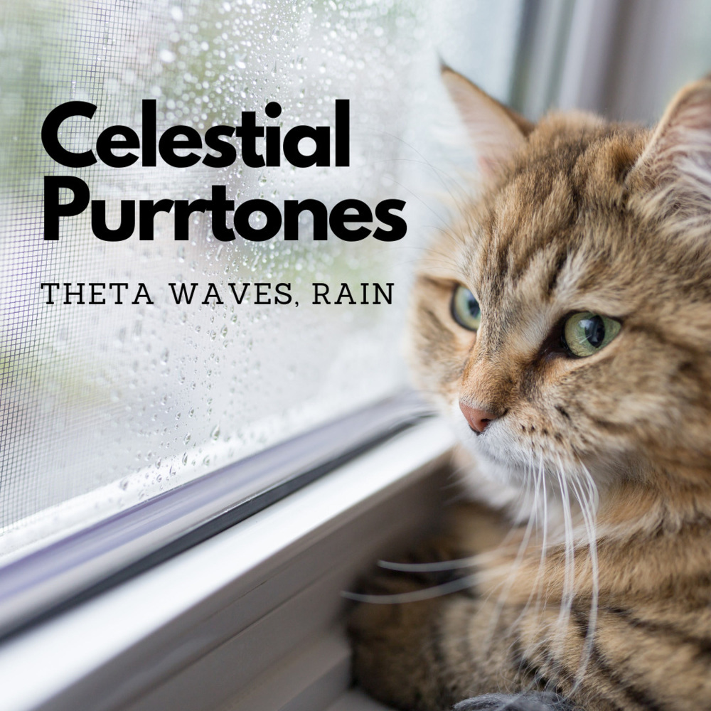 Tranquil Feline Rain Resonance Theta Waves