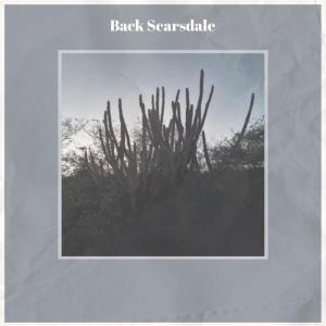 Listen to Back Scarsdale song with lyrics from caün