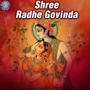 ดาวน์โหลดและฟังเพลง Shri Krishna Govinda Hare Murare พร้อมเนื้อเพลงจาก Various Artists