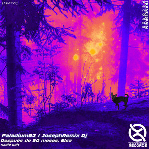 JosephRemix Dj的專輯Después de 30 meses, Elsa (Radio Edit)