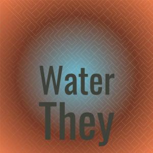 Dengarkan Metempsychose Surviver lagu dari Renald Tici dengan lirik