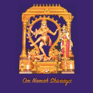 Album Neel Kazhalgal Konji Aada (feat. Keerthana Vaidhyanathan, Karthik Raja & Embar S Kannan) [Special Version] oleh Karthik Raja