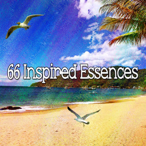 Listen to Tranquility song with lyrics from Yoga Music