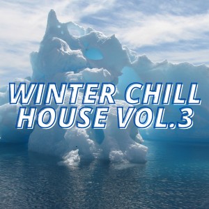 Various Artists的專輯Winter Chill House Vol.3