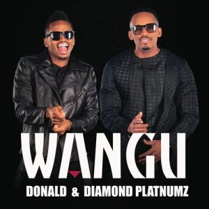 ดาวน์โหลดและฟังเพลง Wangu พร้อมเนื้อเพลงจาก Donald