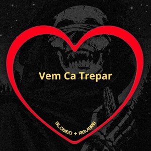 Listen to Vem Ca Trepar 1.0 (Slowed + Reverb|Explicit) song with lyrics from Love Fluxos