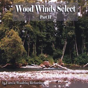 ดาวน์โหลดและฟังเพลง Remember Me พร้อมเนื้อเพลงจาก Forrest Woodring Richardson