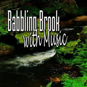 Album Babbling Brook with Music (Music and Nature Sound) from Music for Meditation