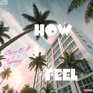 ดาวน์โหลดและฟังเพลง How I Feel (feat. Tybaby) (Explicit) พร้อมเนื้อเพลงจาก chris e