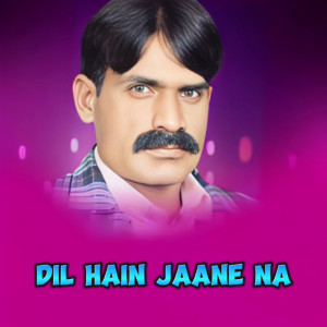 อัลบัม Dil Hain Jaane Na ศิลปิน Rashid Ali
