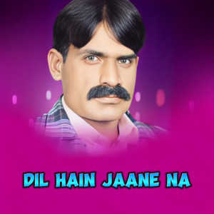 Rashid Ali的專輯Dil Hain Jaane Na