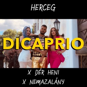 Listen to Dicaprio song with lyrics from Herceg