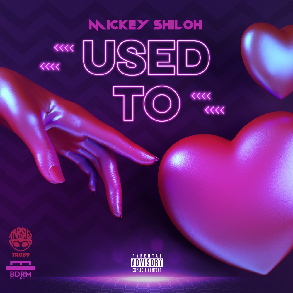 She a Ho (Explicit)