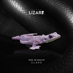 收听Teko的Claro歌词歌曲