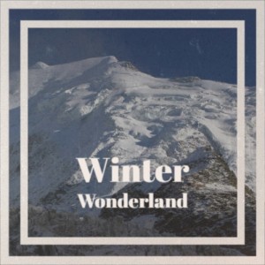 Album Winter Wonderland from Various Artists