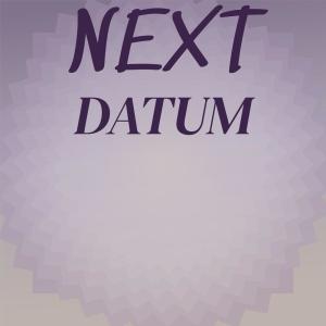 Various的专辑Next Datum