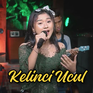Listen to Kelinci Ucul song with lyrics from Lala Atila