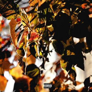 收聽Julixn的EKG (Explicit)歌詞歌曲