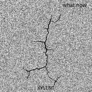 Album what now from Xylent