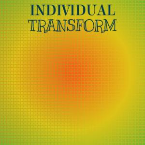 Various Artists的專輯Individual Transform