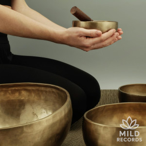 Listen to Sacred Pulse song with lyrics from Tibetan Bowls!