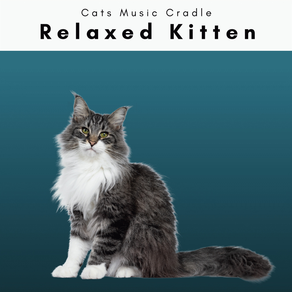 Journey of Nature Songs for Kittens Pt. 6