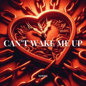 MrWhite的專輯Can't Wake Me Up (Explicit)