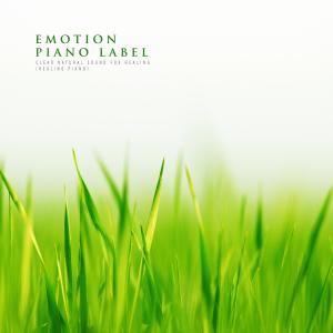 Listen to Time Of Love Nature Version (Nature Ver.) song with lyrics from Happy Fruit