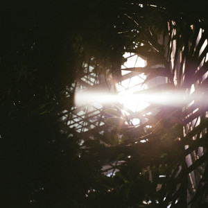 Listen to A calm day song with lyrics from wedOcean
