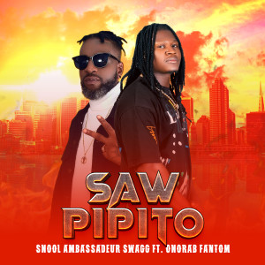 Listen to Saw Pipito song with lyrics from Snool Ambassadeur Swagg