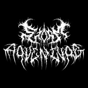 ดาวน์โหลดและฟังเพลง STORM ADVENTURE พร้อมเนื้อเพลงจาก ROXSH LUXIRY