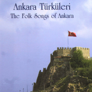 ดาวน์โหลดและฟังเพลง Alim De Gitme Pazara พร้อมเนื้อเพลงจาก Yıldız Çam