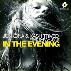 Album In The Evning from 