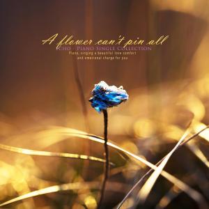 Listen to One Pine Blossom song with lyrics from 메아리