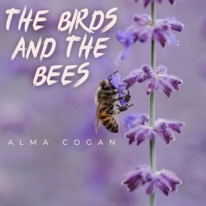 收听Alma Cogan的Where Will the Dimple Be?歌词歌曲
